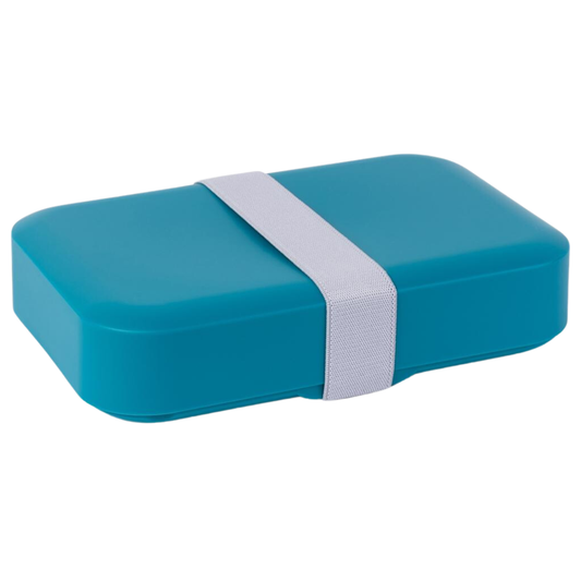 Amuse Lunchbox Large | Teal