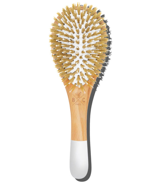 Small Wooden Hair Brush