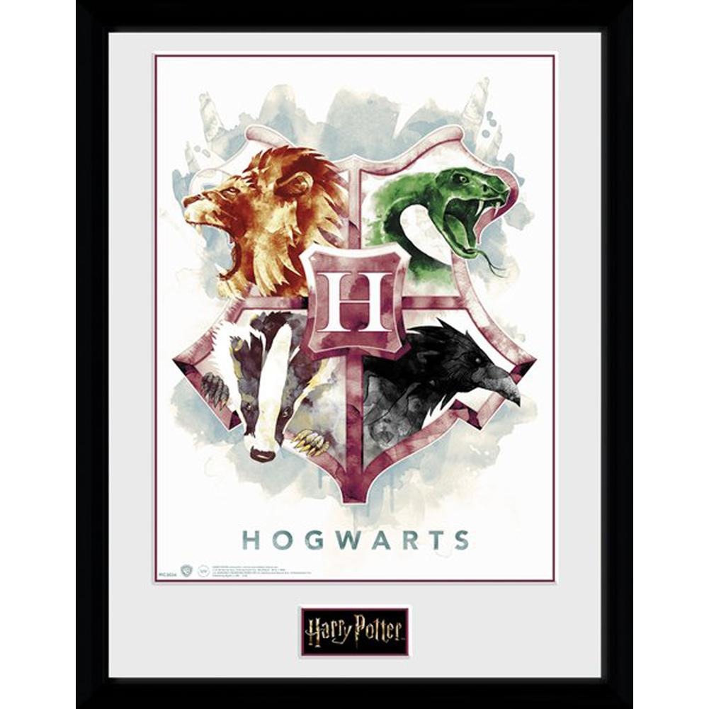 Harry Potter Watercolour 30 x 40 Framed Print