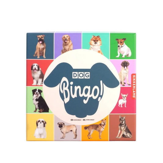 Bingo - Dog